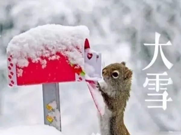 大雪满初晨，开门万象新