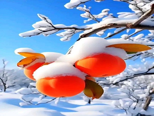 冬迎小雪至，温暖伴你行